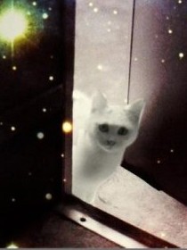 割禮 