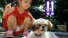 愛犬日記之歌友會