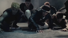 狼與美女(Wolf) 預告版