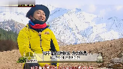 金炳萬的叢林法則3 A