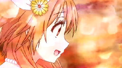 はなごのみ
