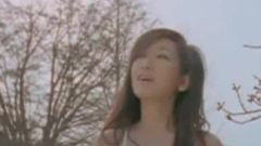 幸?；匚? width=