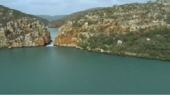 澳大利亞塔爾博特潮灣