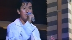 情中情戲中戲