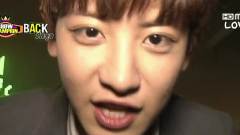 Show Champion