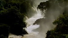 同夢同行