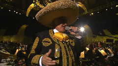 Hermoso Cari?o