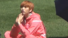 真實的人生寫實 (Pisces)