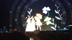 花都開好了