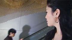 沒有腳的小鳥