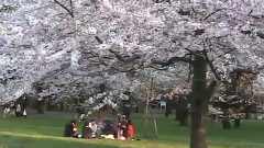 歸省