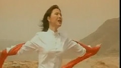 歲月的腳步