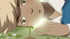 生命中最美麗的碎片