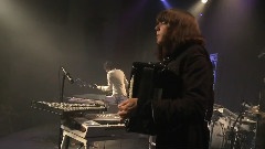Om Du Moter Varg