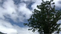 小村之戀