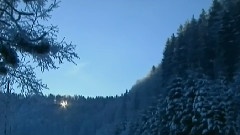 駝鈴