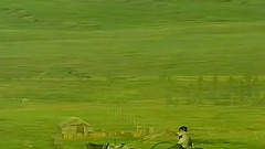 馬兒啊