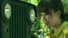 綠野仙蹤