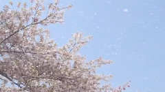 風の記憶