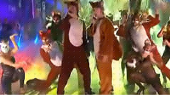 The Fox
