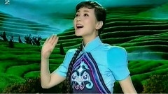 張燕 - 美麗的旗幟