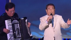 宋海 - 悲傷過客