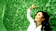 美麗嘉年華
