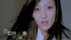 手心的太陽