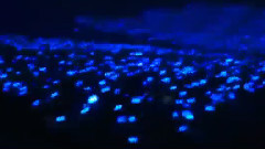 東海IG更新:Fukuoka Dome