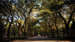 大自然瞬間入秋的唯美風光