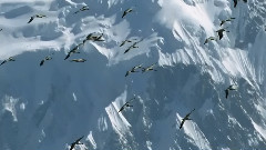 唯美的自然風光