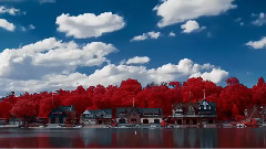 一天仙境靜靜的站在那里