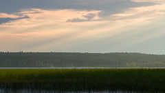 遠離城市的喧囂感受大自然風光