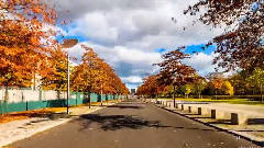 韻動柏林2014第二季