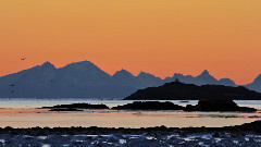 燈舞 - 羅弗敦群島