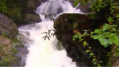 浙江遂昌風光