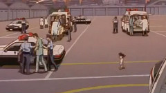 少女の頃に戾つたみたいに