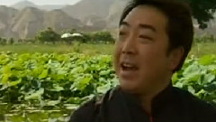 上去高山望平川