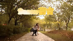 音悅stage - Like A Cat