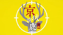 京城捕鹿播報