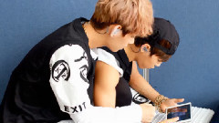 微米動人瞬間 Part 3