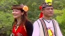 群星 - 重新再來