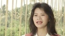 難忘樸子橋