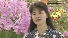 無名花