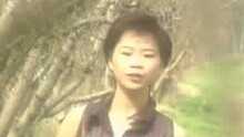 成功不是靠運氣