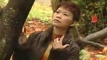 命運不是咱決定