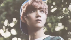 美顏即正義 鹿晗德國寫真圖頻混剪 舔屏向