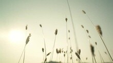 Anche Il Tempo Può Aspettare