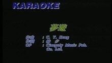 王蓉 - 夢游