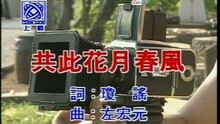 共此花月春風
